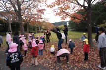 乳幼児から児童前期までの子どもへの発達支援に関する専門的な知識をもつリーダー教員・保育士の育成 乳幼児から児童前期までの子どもへの発達支援に関する専門的な知識をもつリーダー教員・保育士の育成