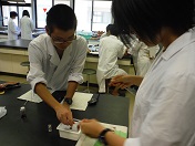 理科実験2 理科実験2