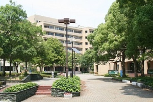 楠