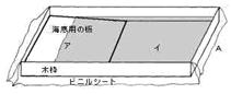 津波発生のメカニズムをモデルで調べる