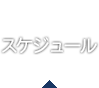 スケジュール
