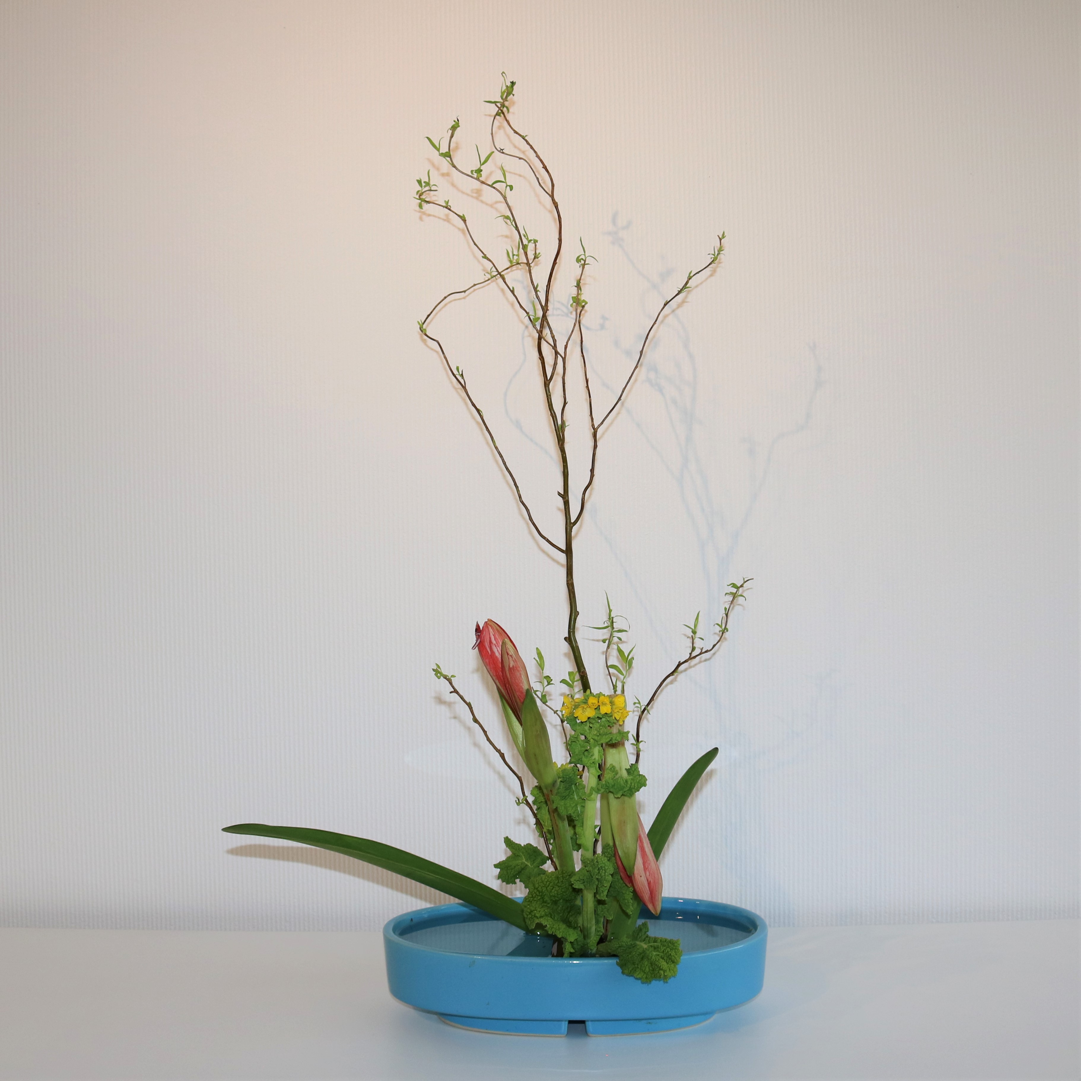 茶花道部の学生による生け花が展示されています。 | 鳴門教育大学