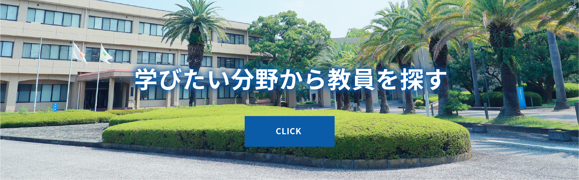 学びたい分野から教員を探す