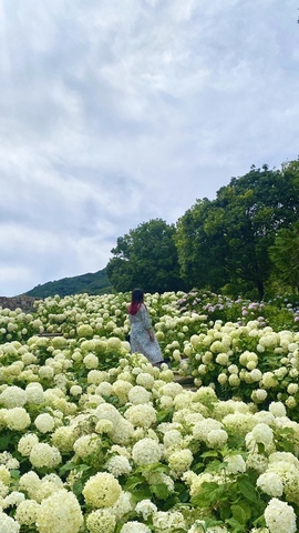 加藤愛海さん.jpg katonarumi.jpg