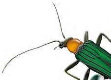 小汐 千春 小汐 千春