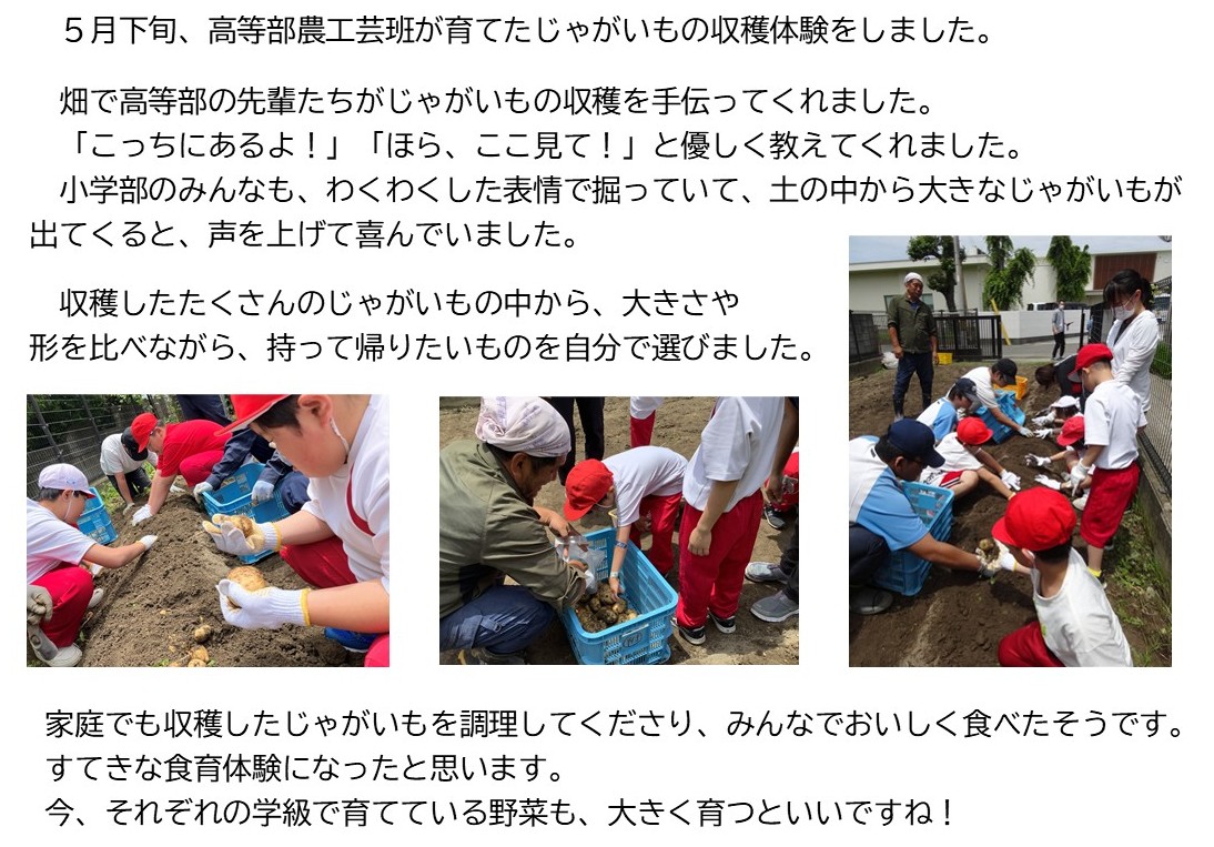 じゃがいもの収穫体験HP.jpg じゃがいもの収穫体験HP.jpg