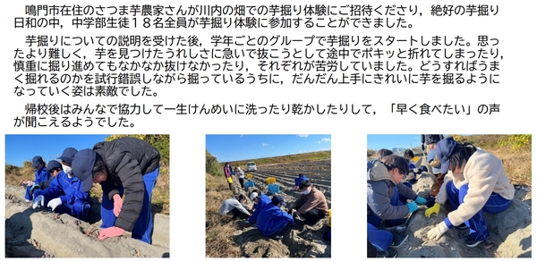 芋掘り体験.jpeg 芋掘り体験.jpeg