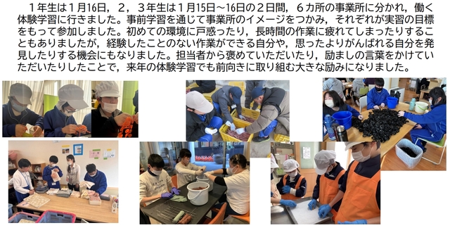 働く体験学習.jpeg 働く体験学習.jpeg